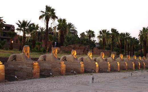 The Avenue at Sphinxes at dusk - A 3km avenue of sphinxes once joined Luxor and Karnak Temples.