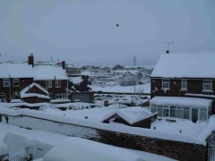 From our back window