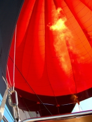 April 2011 - 4th - The World's a nicer place in my beautiful balloon...