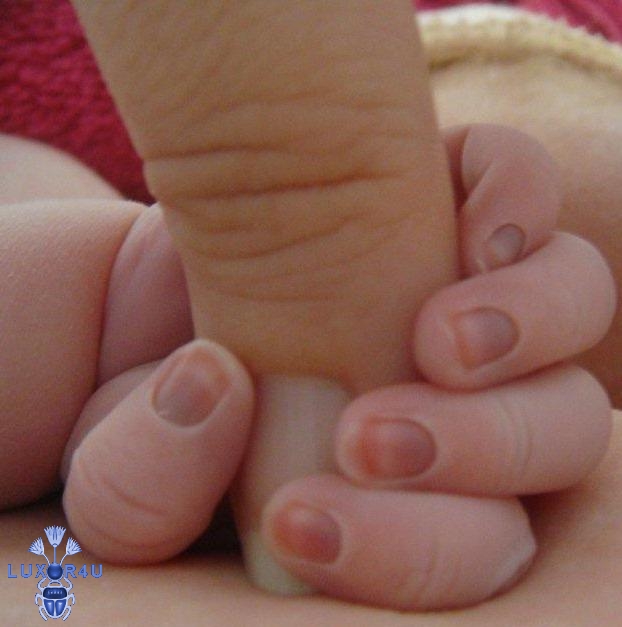 May 2011 - 2nd - All fingers and thumb! - a contrast in size