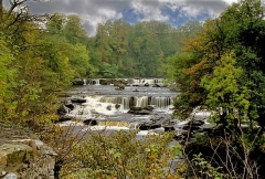 June 2011 - 2nd - Aysgarth Falls