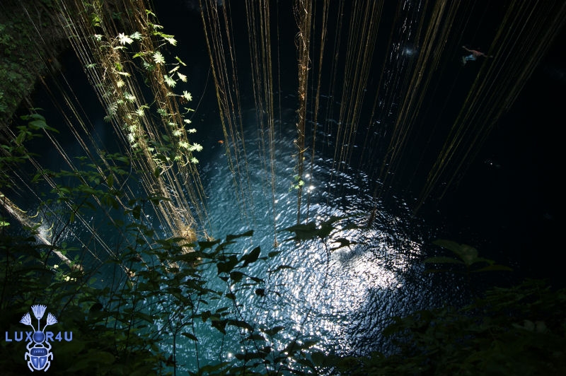 June 2011 - 1st - A Cenote, Riviera Maya, Mexico