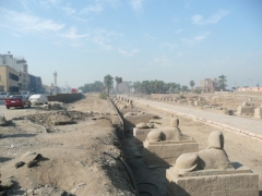 Avenue Of Sphinxes Towards Luxor