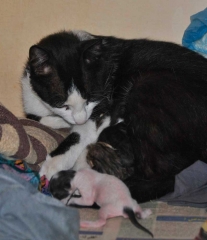 mother and children