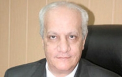 Antiquities Minister Mohamed Ibrahim
