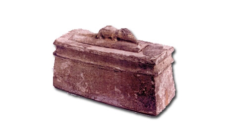 sarcophagus of mummified rat