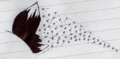 Random drawing