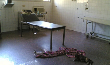 Egypt's public hospitals 4