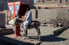 Donkey Payphone