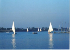 Sunlight on Nile