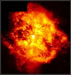 star WR124