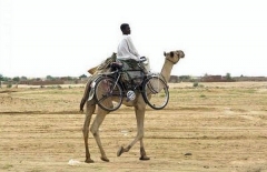 Park and Ride