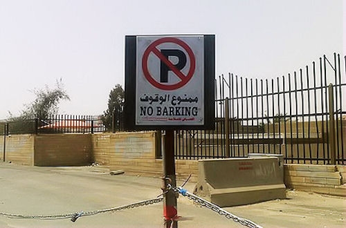 no barking
