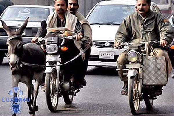 Motordonkey