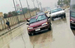 squeegee