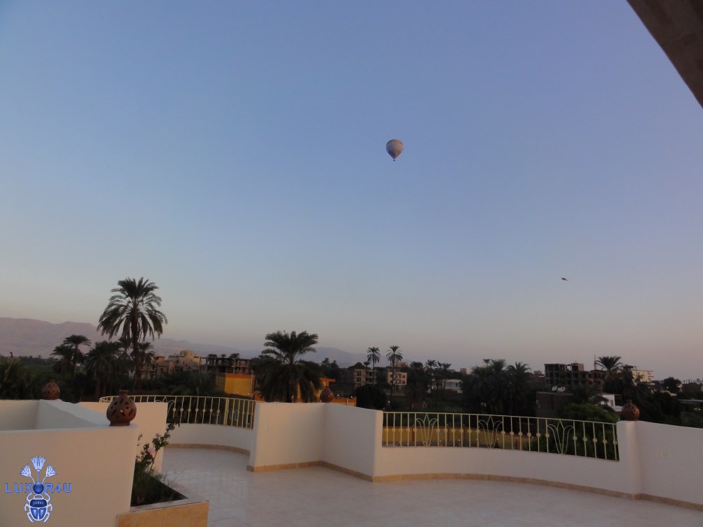 DSC05695