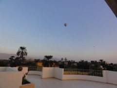 DSC05695
