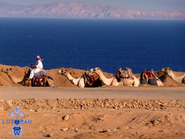 Sinai