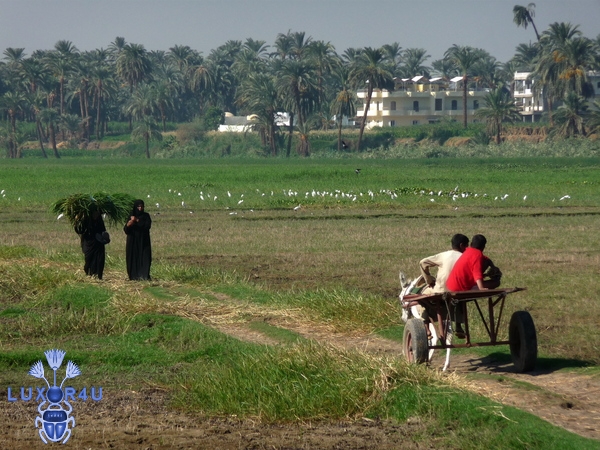 Women -Boys. Luxor