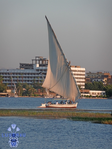 Felucca