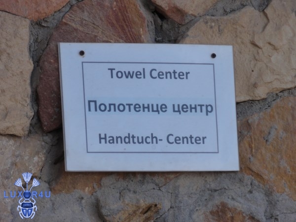 DSC05836 (600 x 450)