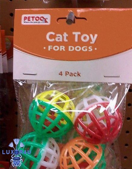 cat toy