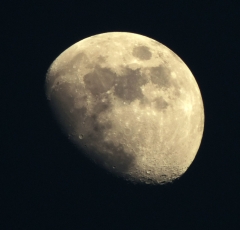 DSCN01710