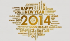 Happy New Year 2014
