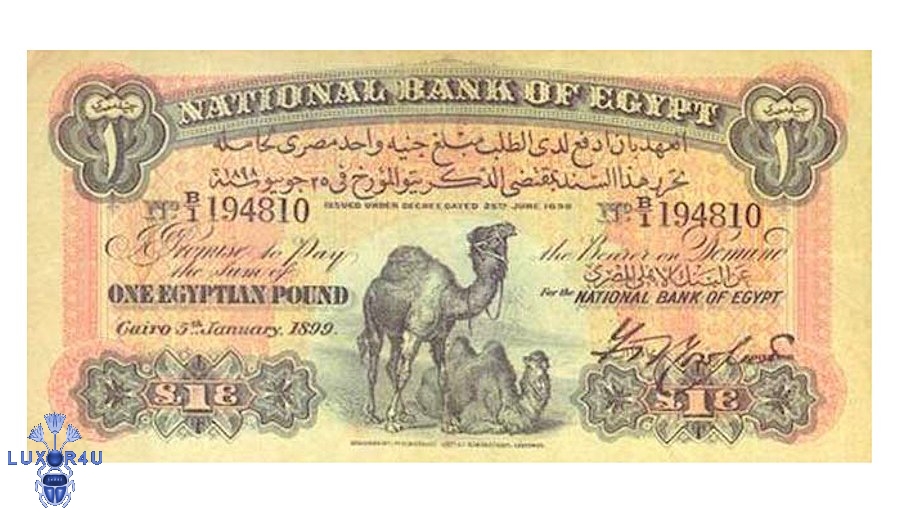 Egyptian first pound bill