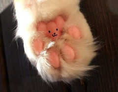 Teddy