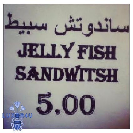 Jelly fish sandwich