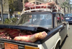 Meat