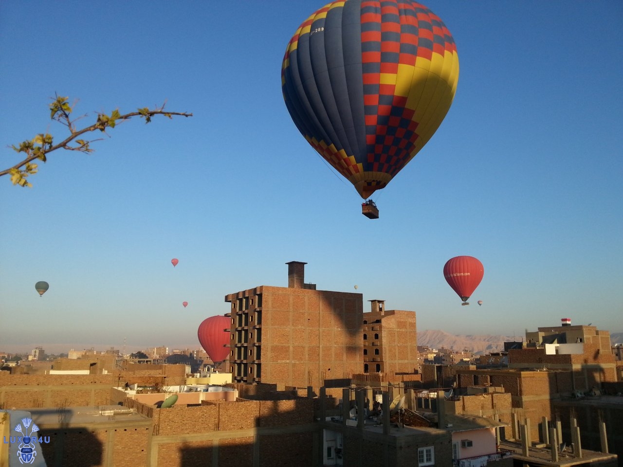 Balloons over Luxor