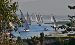 The Nile