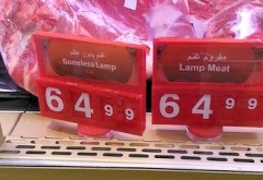 Boneless lamp