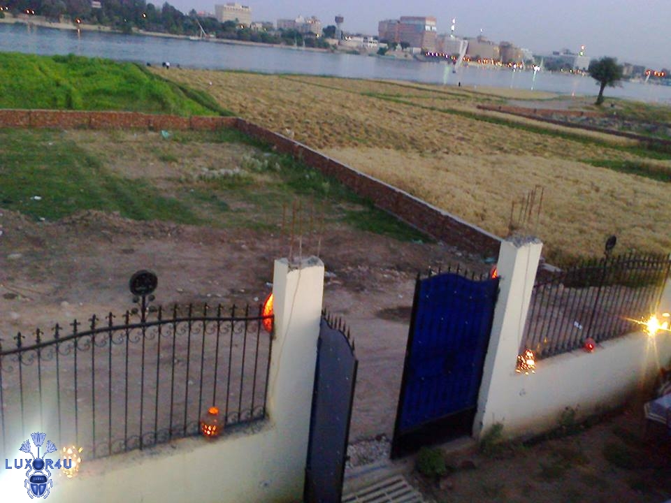 Nile Flowers Restaurant 1
