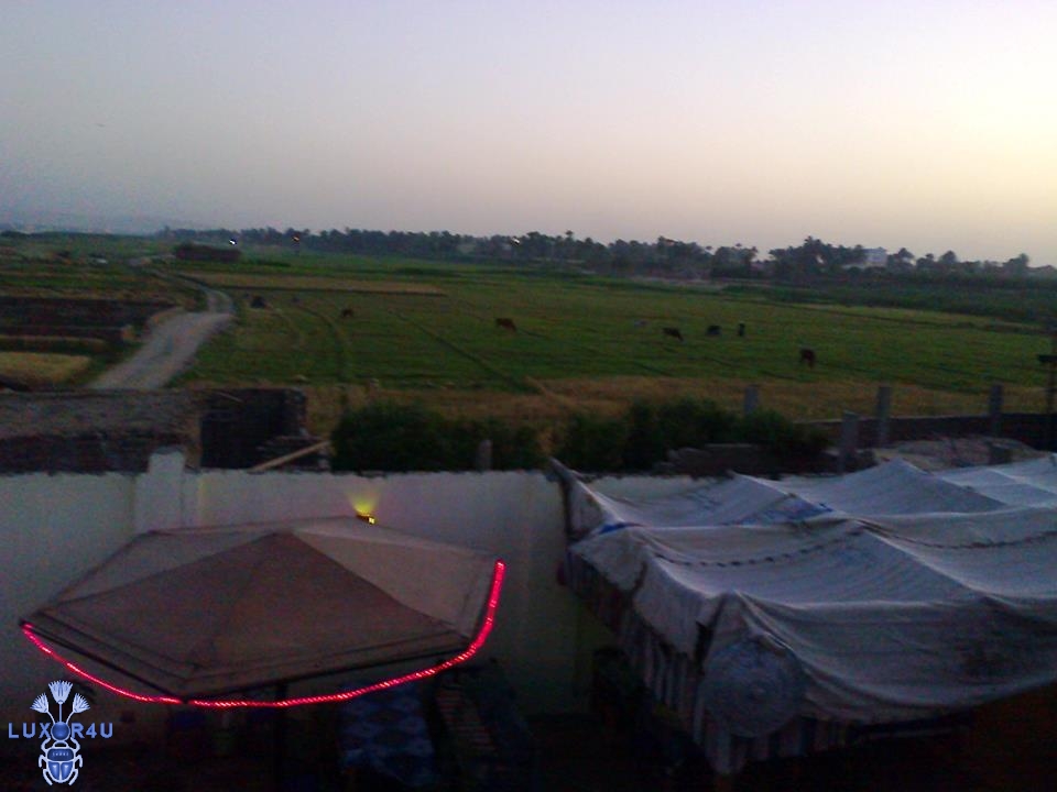 Nile Flowers Restaurant 3