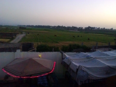 Nile Flowers Restaurant 3