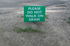 I'll try not to