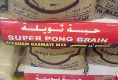 Pong