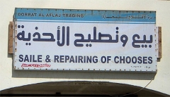 You Choose