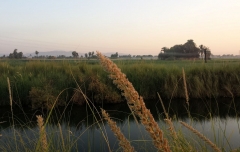 Luxor, Egypt (East Bank)