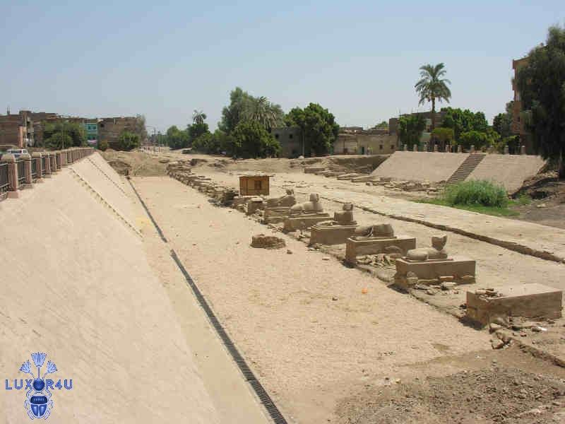 sphinxes