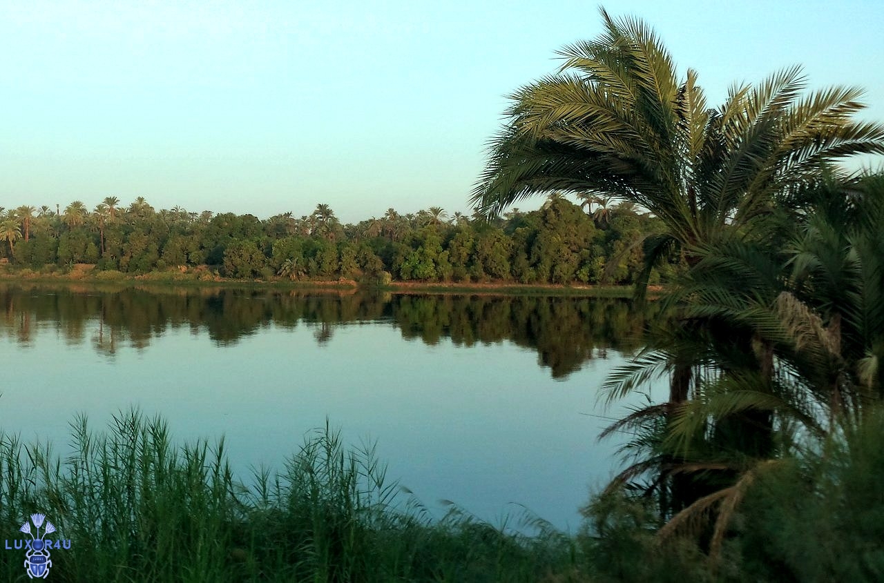 Luxor (Morning) 1st Sept 2014