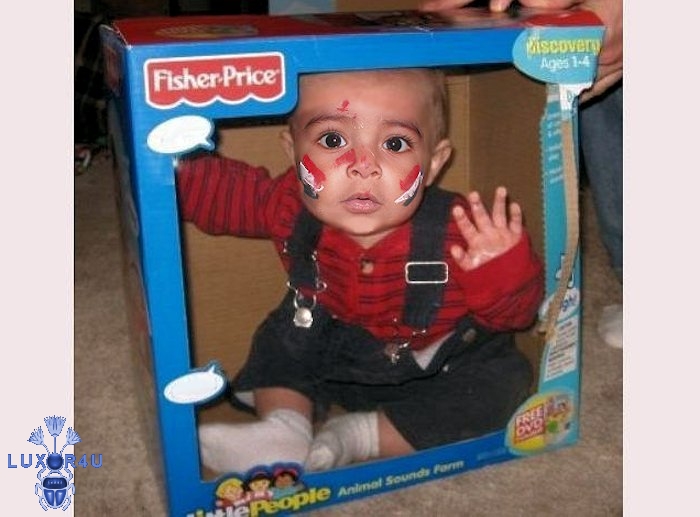 Toy