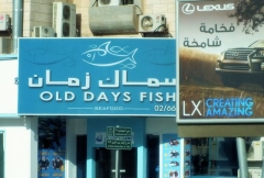 Old Fish