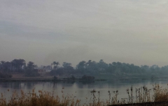 Cold, Cloudy Morning in Luxor 1