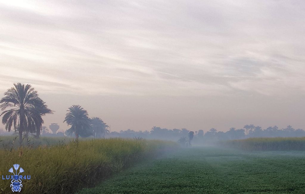 Cold, Cloudy Morning in Luxor 2