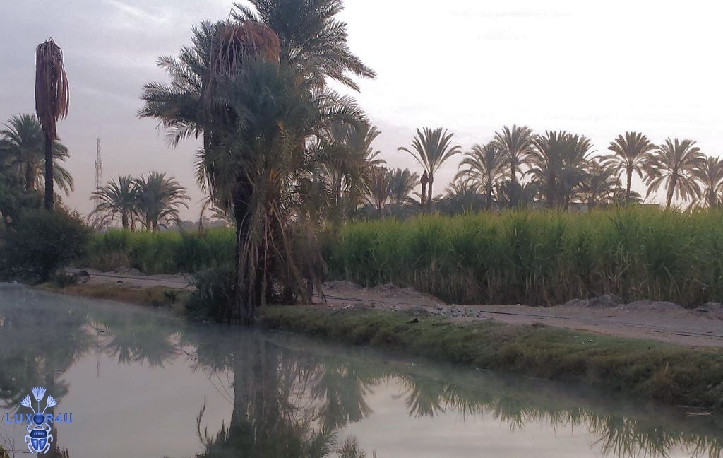 Cold, Cloudy Morning in Luxor 3