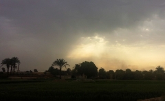 Maybe Rain